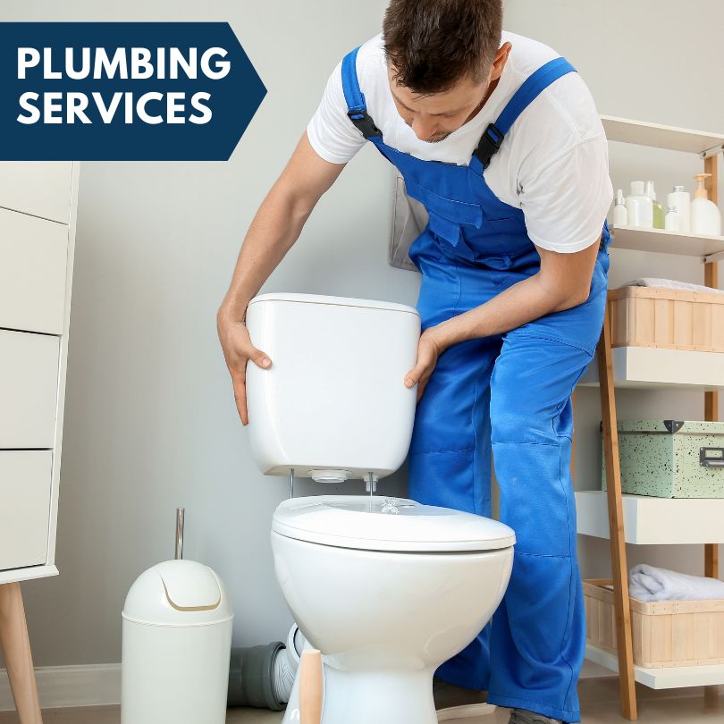 Plumbing Company in Hamlin, IA